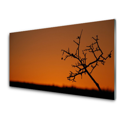 Tableau sur verre Contour d'arbre à l'ouest