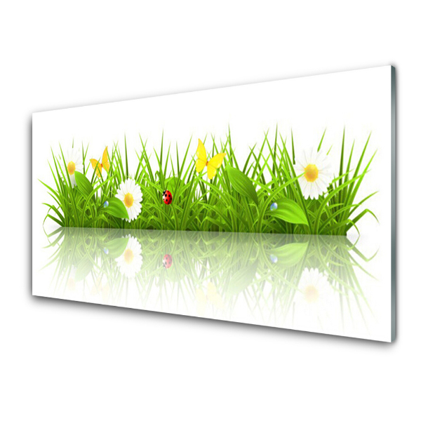 Tableau verre imprimé Herbe et fleurs Fond blanc