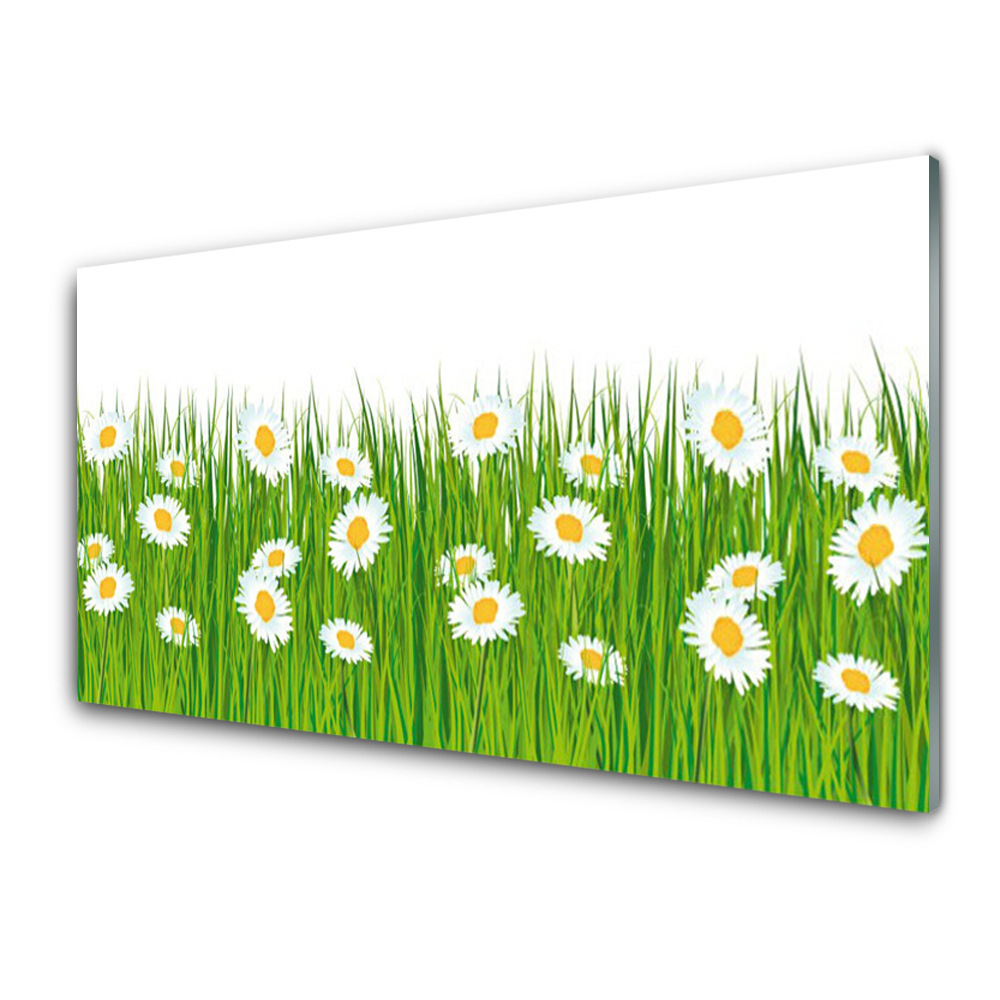 Tableau en verre Herbe marguerite nature