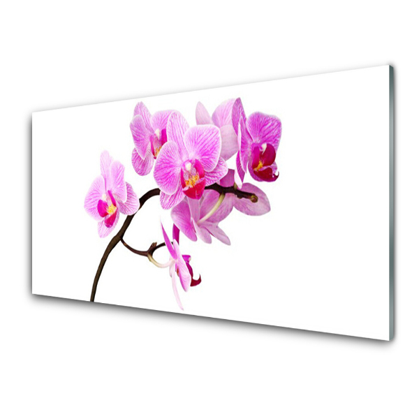 Tableau photo sur verre Branche d'orchidée rose