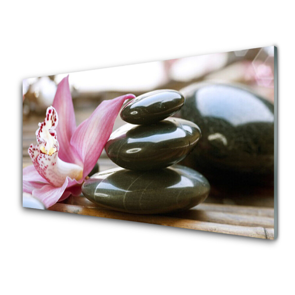 Tableau photo sur verre Pierres et fleur rose