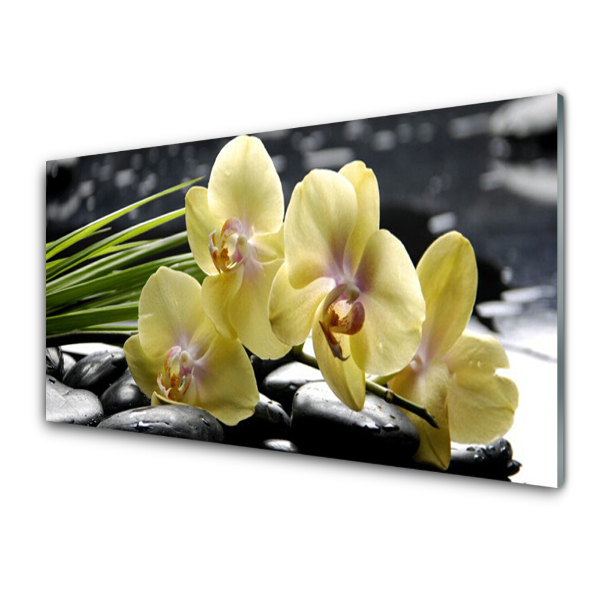 Tableau imprimé sur verre Orchidée jaune Nature