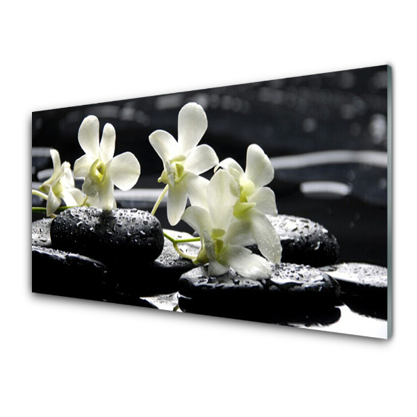 Tableau verre imprimé Orchidée sur pierres noires