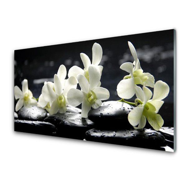 Tableau photo sur verre Orchidées blanches sur galets