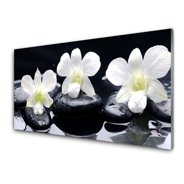 Tableau en verre Trois orchidées sur des pierres