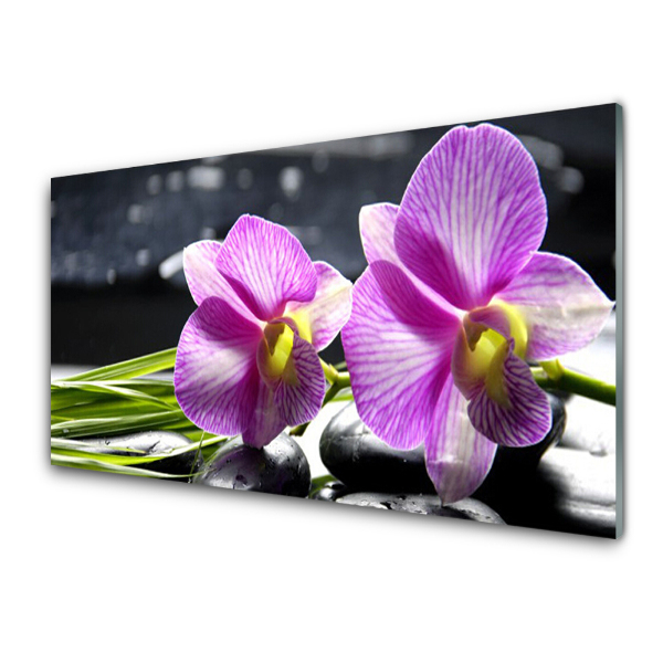 Tableau photo sur verre Fleurs d'orchidées pourpres