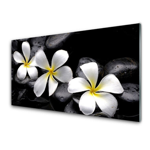 Tableau sur verre Fleurs blanches sur fond noir