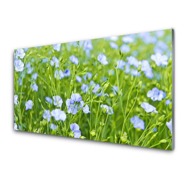 Tableau en verre Fleurs bleues dans l'herbe