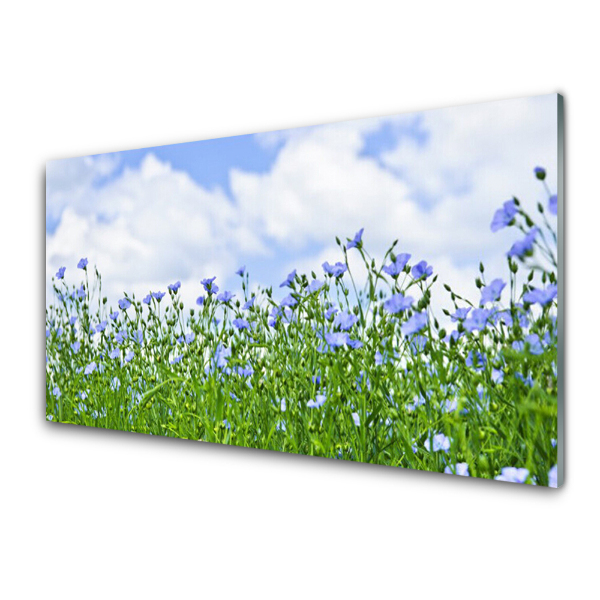 Tableau imprimé sur verre Fleurs bleues contre le ciel