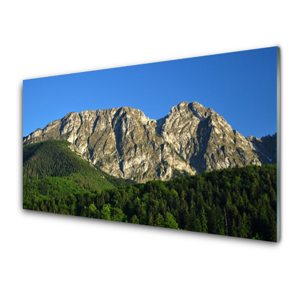 Tableau verre imprimé Ciel de forêt de montagne