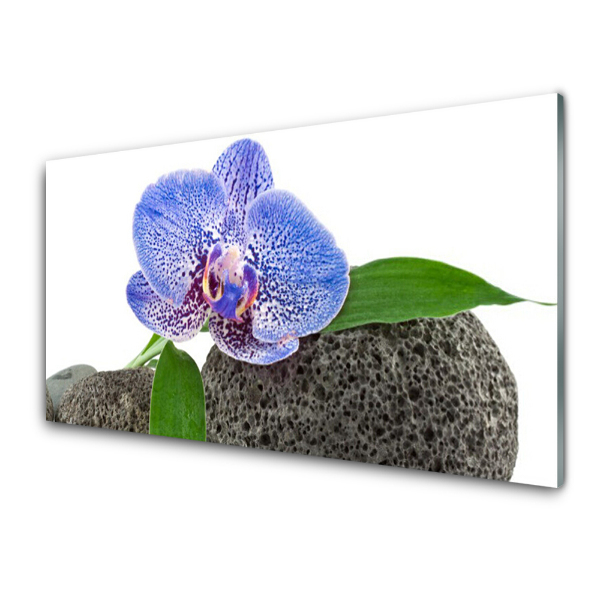 Tableau photo sur verre Orchidée bleue