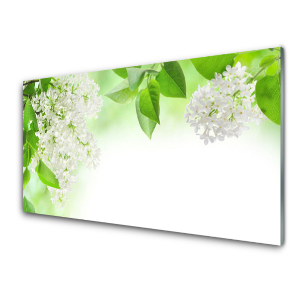 Tableau sur verre Feuilles et fond blanc