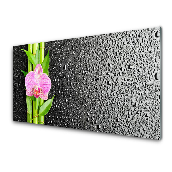 Tableau photo sur verre Bambou Orchidée Rose