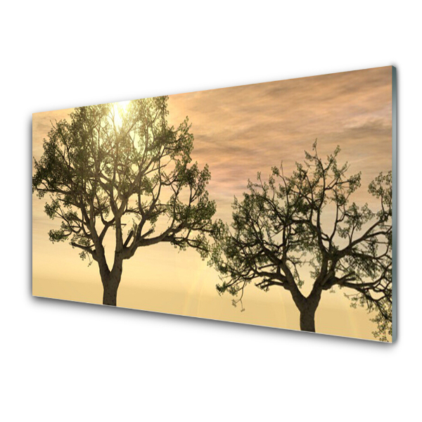 Tableau imprimé sur verre Cime des arbres Nature