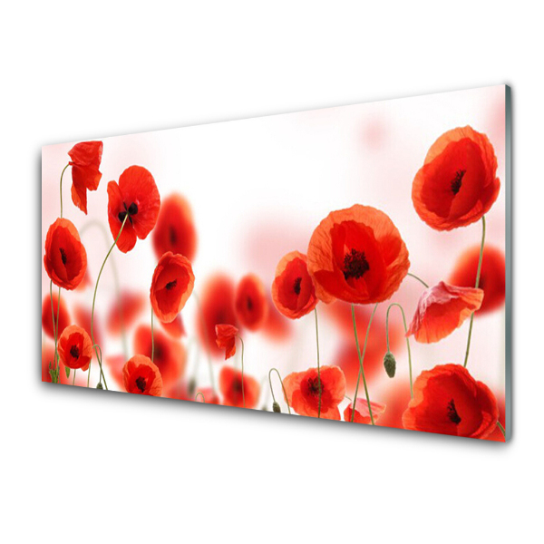 Tableau en verre Fond de coquelicots rouges