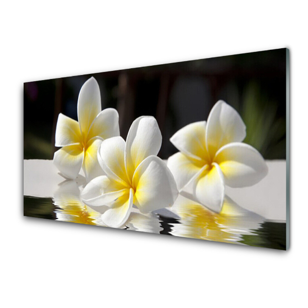 Tableau photo sur verre Fleurs blanches et jaunes