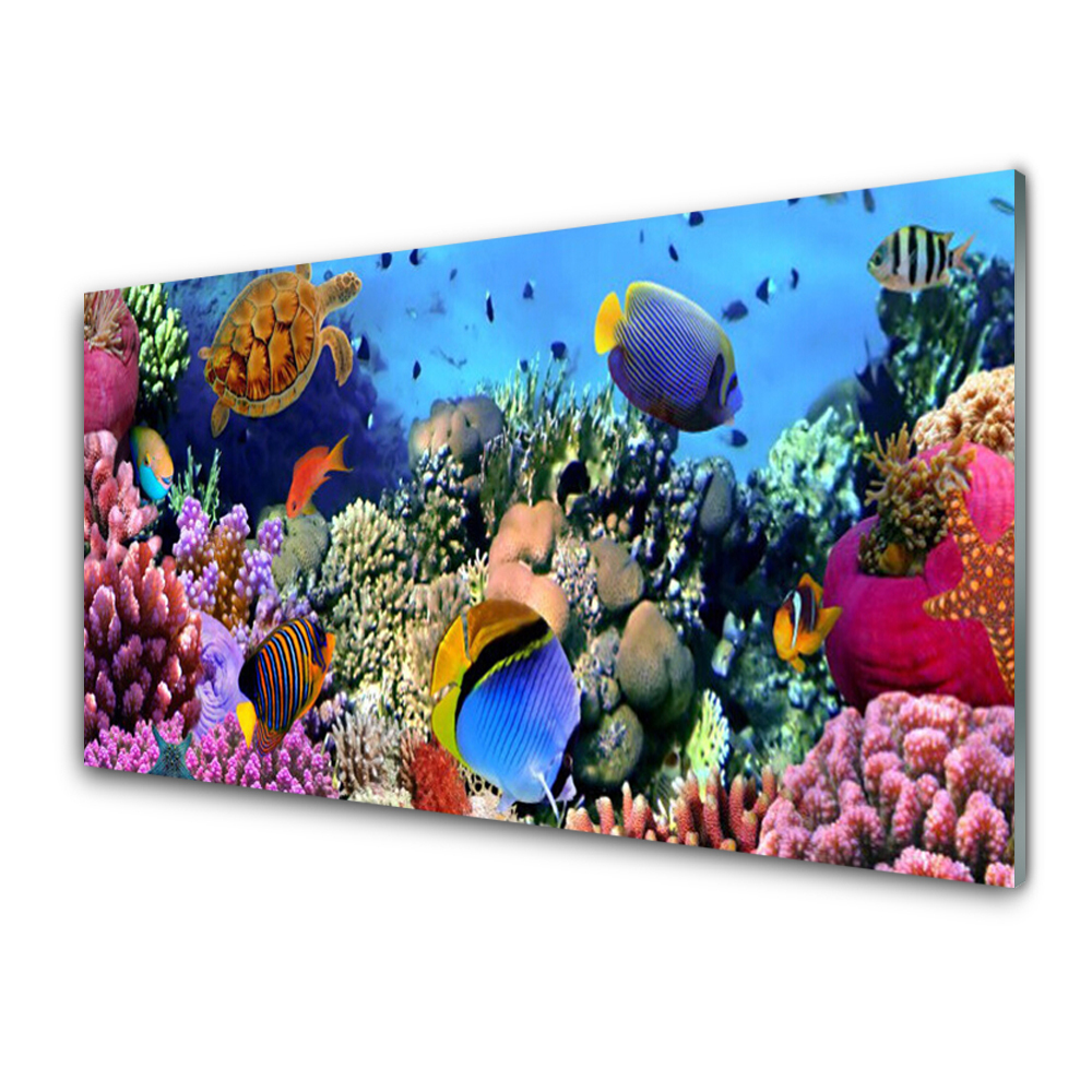Tableau sur verre Récif corallien arc-en-ciel