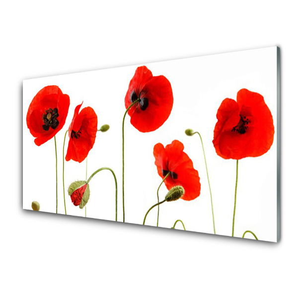 Tableau verre imprimé Fleurs de coquelicots sur tige