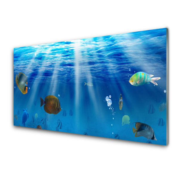 Tableau photo sur verre Poissons sous la surface de l'eau