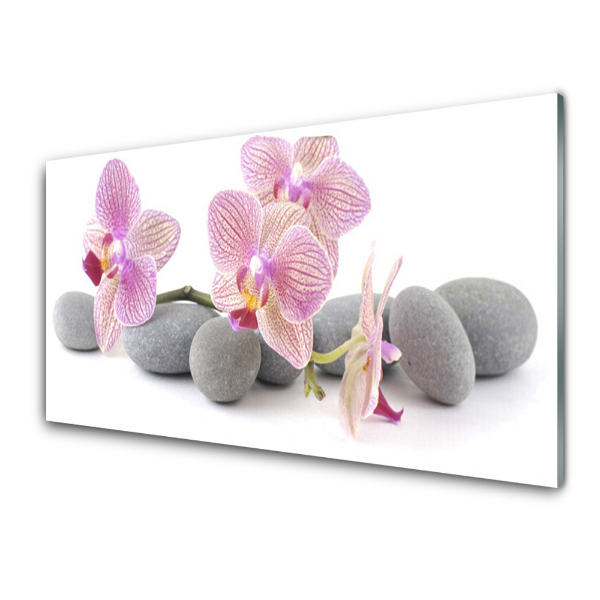 Tableau photo sur verre Orchidées poudrées et pierres