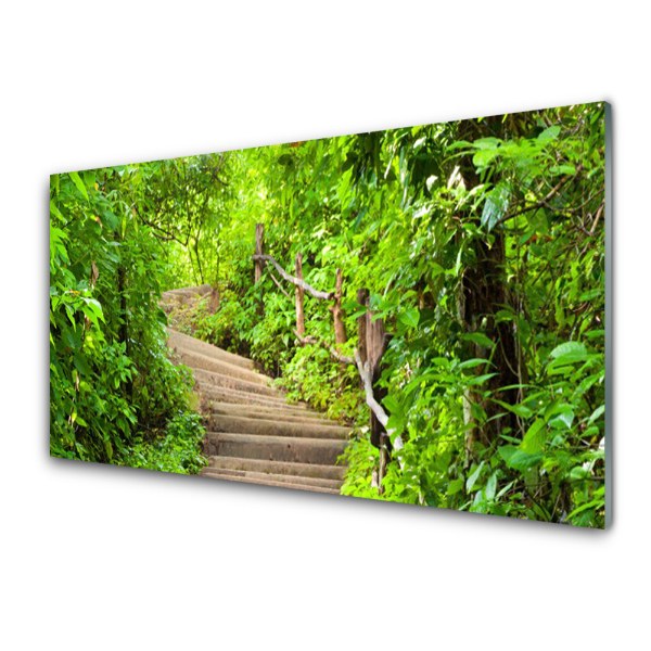 Tableau en verre Escalier dans la nature forestière