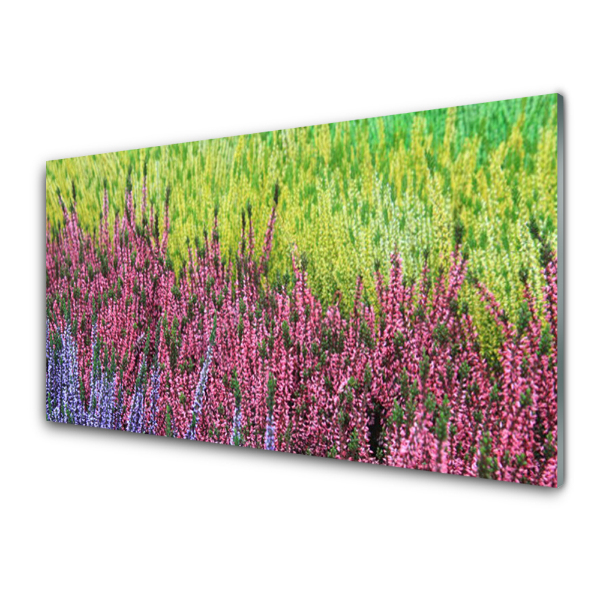 Tableau verre imprimé Fleurs de prairie dans la nature