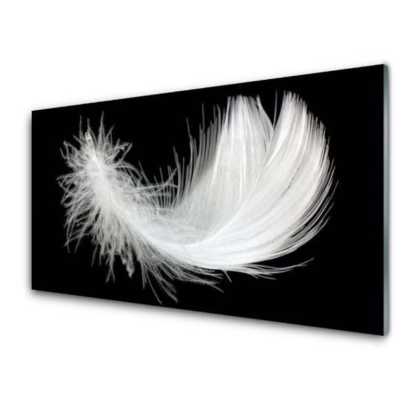 Tableau photo sur verre Plume sur fond noir