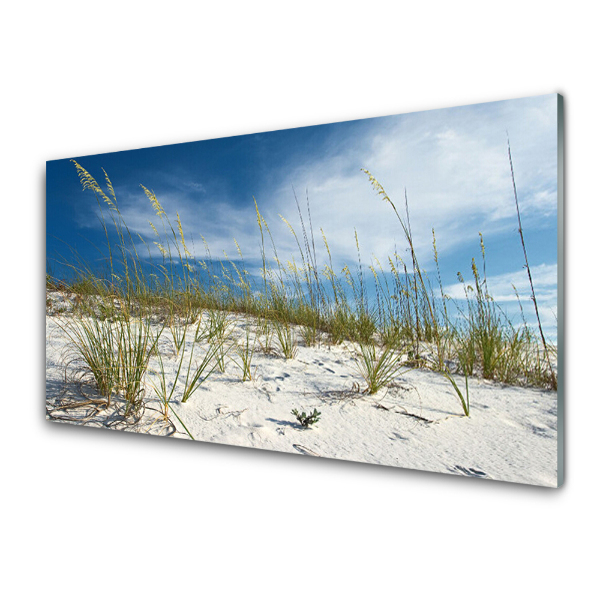 Tableau sur verre Paysage de plage