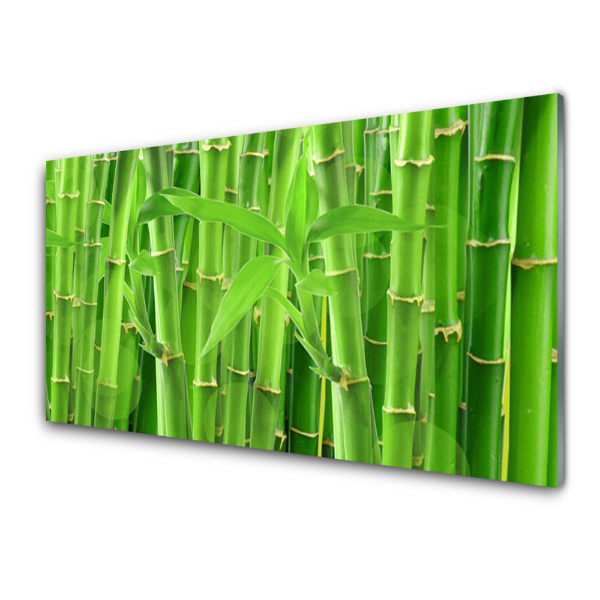 Tableau imprimé sur verre Fond de bambous verts