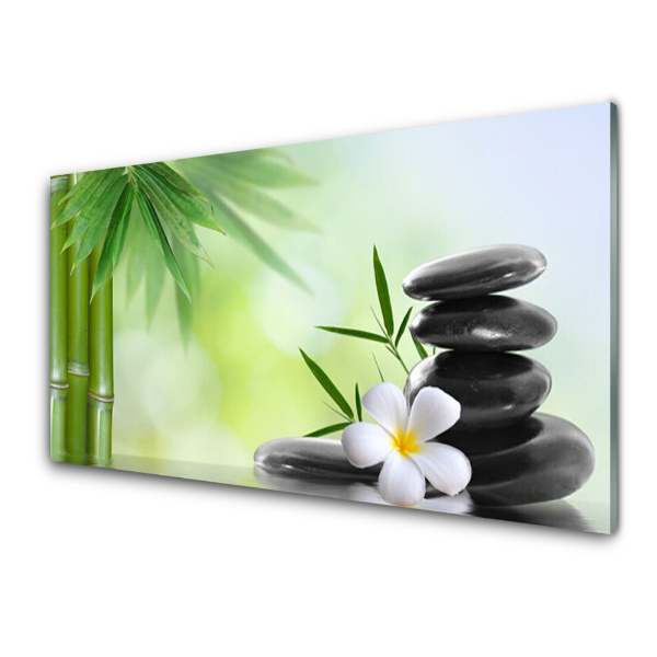 Tableau photo sur verre Fleur de pierre Tiges de bambou