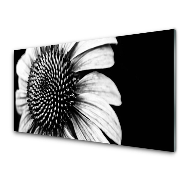 Tableau imprimé sur verre Fleur noire et blanche