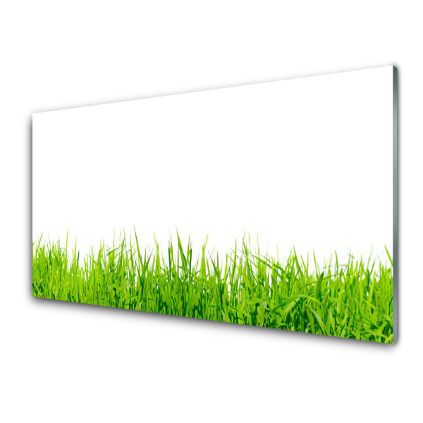 Tableau en verre Brins d'herbe sur fond blanc