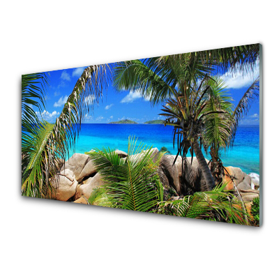 Tableau sur verre Rochers vue mer