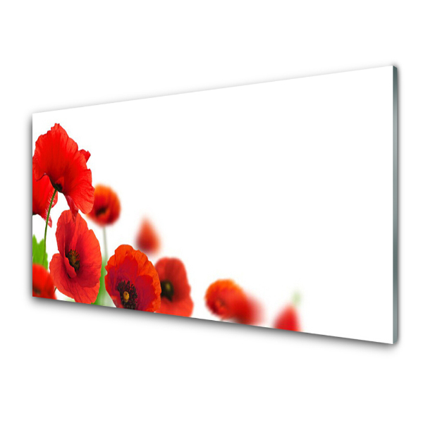 Tableau photo sur verre Gros plan sur des coquelicots rouges