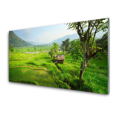 Tableau photo sur verre Champ de campagne