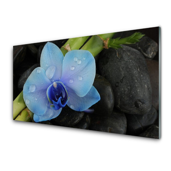 Tableau en verre Orchidée bleue