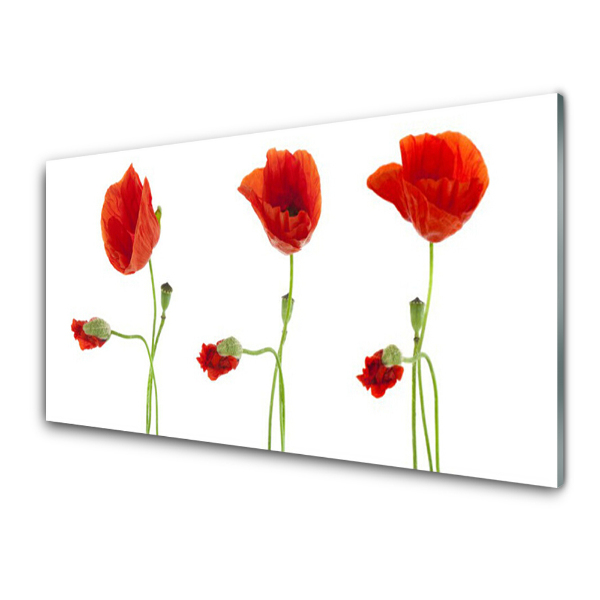 Tableau imprimé sur verre Trois coquelicots rouges