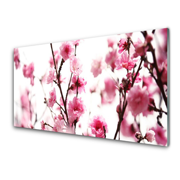 Tableau photo sur verre Branches de cerisiers en fleurs