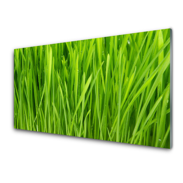 Tableau sur verre Gros plan sur l'herbe verte