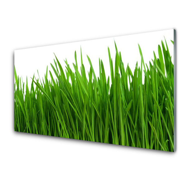 Tableau photo sur verre Herbe verte et dense