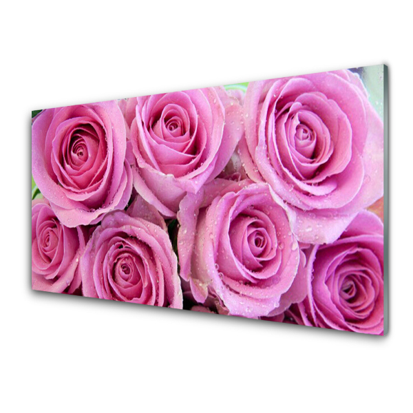 Tableau photo sur verre Bourgeons de roses roses