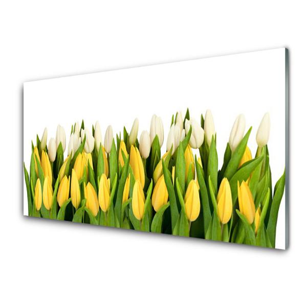 Tableau photo sur verre Tulipes lumineuses avec feuilles