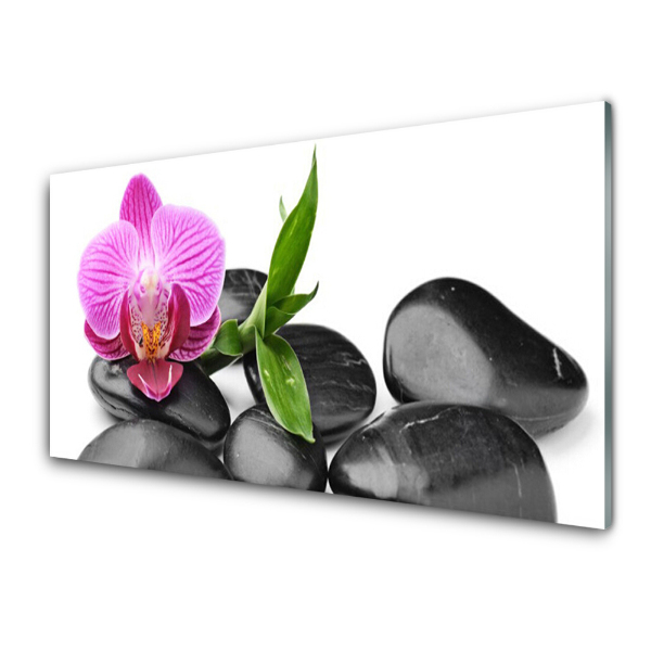 Tableau photo sur verre Fleur d'orchidée Pierres