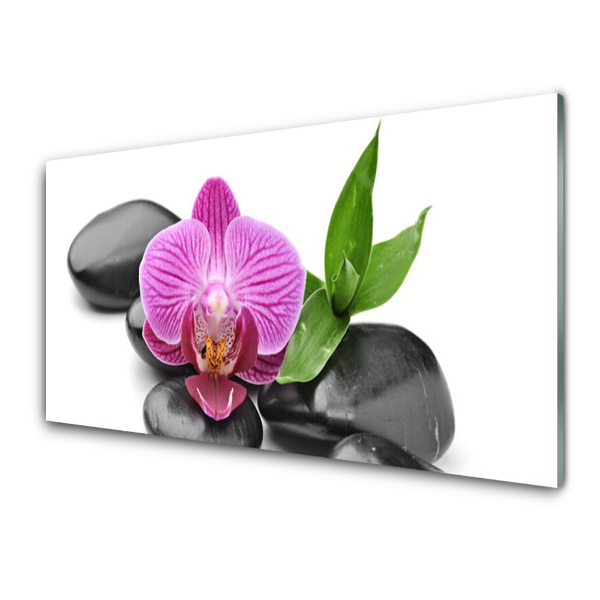 Tableau sur verre Feuilles d'orchidée pierres