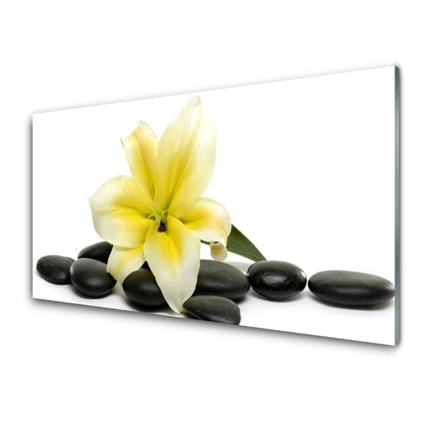 Tableau sur verre Pierres de fleurs jaunes