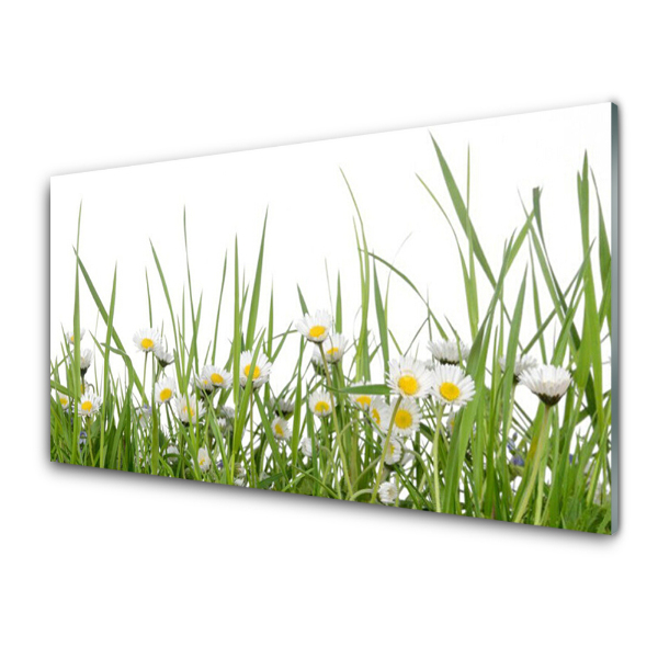 Tableau sur verre Marguerites dans l'herbe