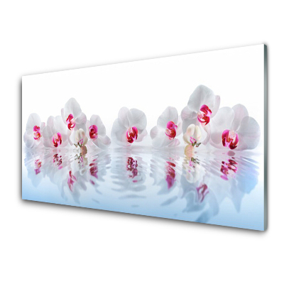 Tableau imprimé sur verre Fleurs d'orchidées blanches et eau