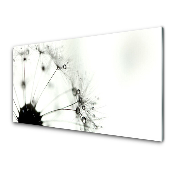 Tableau sur verre Pissenlit sur fond blanc