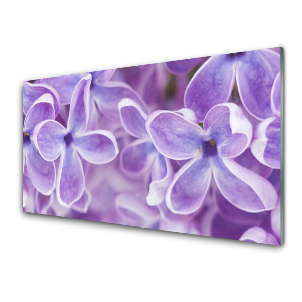 Tableau verre imprimé Fleurs de lilas Gros plan