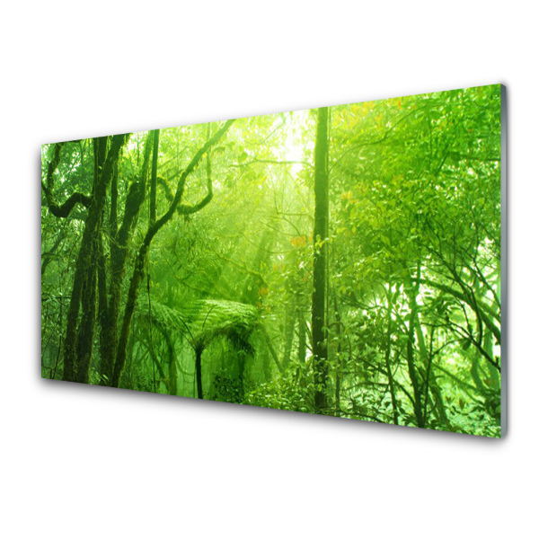 Tableau verre imprimé Arbres verts Nature